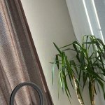 Diovana Konigsreuter / DiovanaKoni / diokonigsreuter Nude Leaks OnlyFans image 11