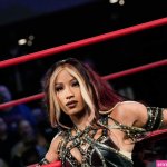 Sasha Banks / sashabankswwe / soxysasha Nude Leaks OnlyFans image 13