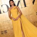 Nina Dobrev / nina / ninagorgeous Nude Leaks OnlyFans - Page 3 image 48